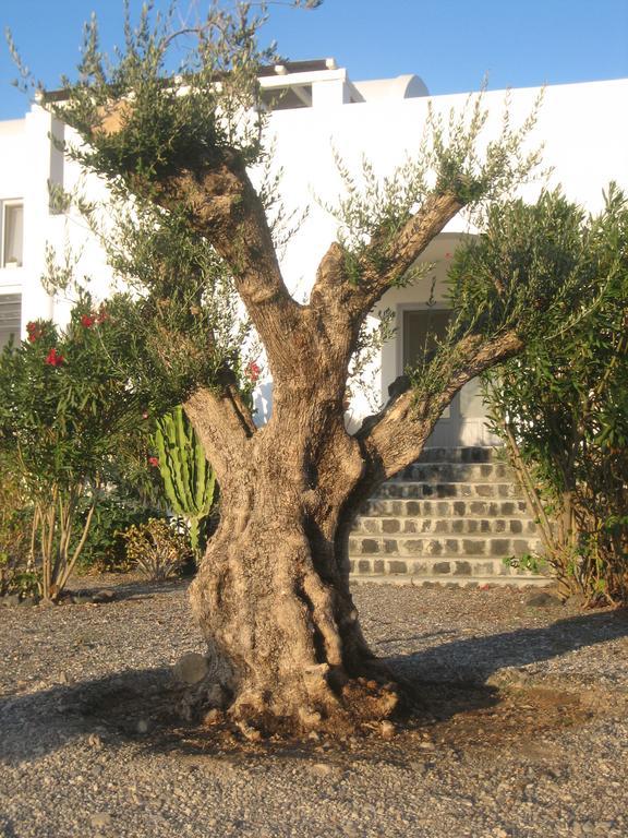 Sun Anemos Resort Oia  Exterior photo