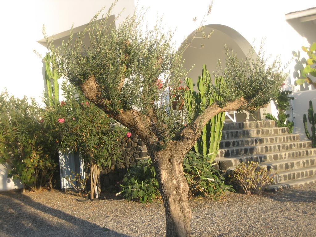 Sun Anemos Resort Oia  Exterior photo
