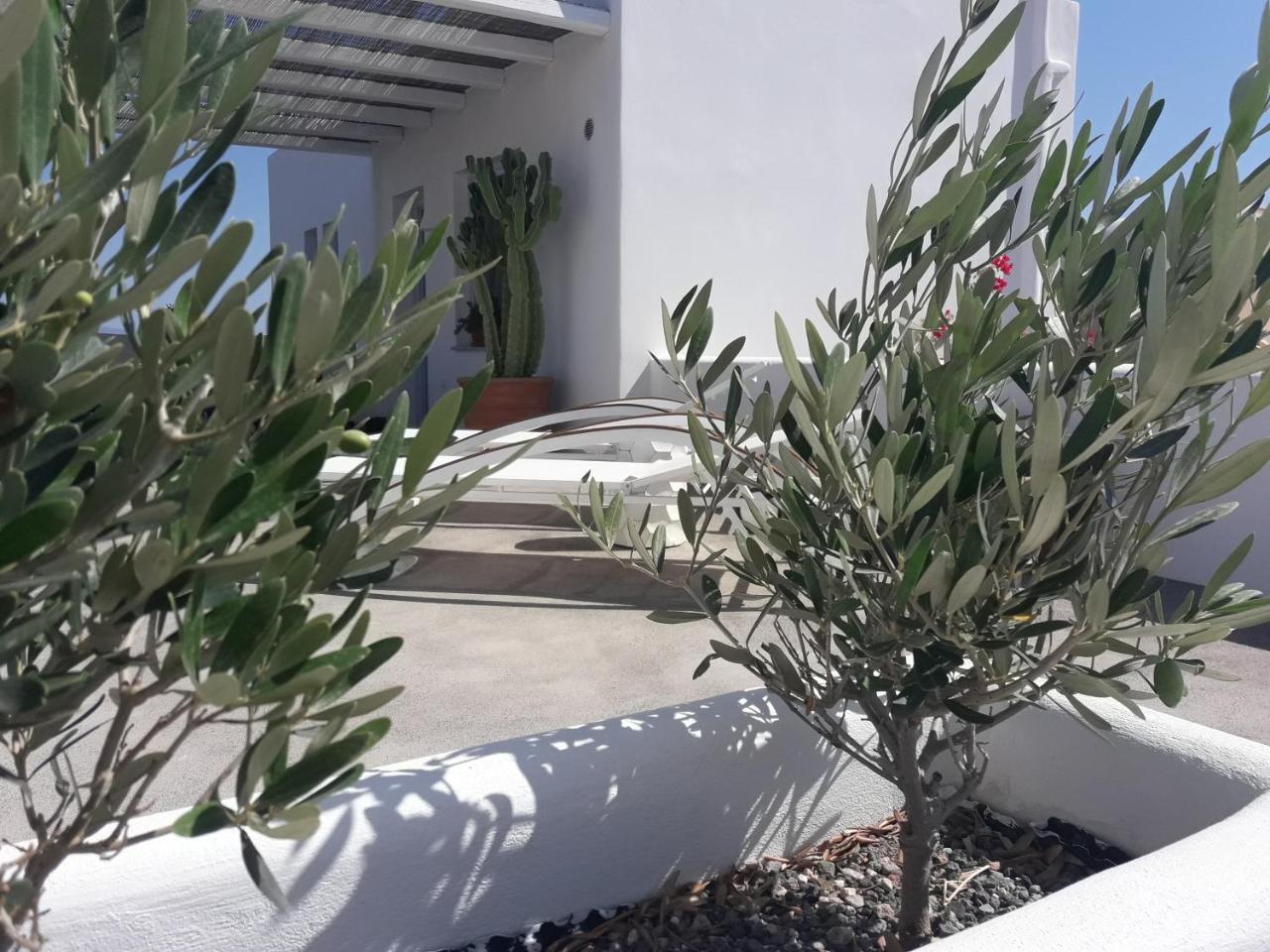 Sun Anemos Resort Oia  Exterior photo